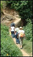 Climbing the hill